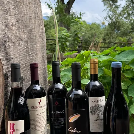 Farma Casale Nel Parco Dei Monti Sibillini *