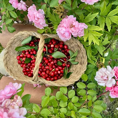 Casale Nel Parco Dei Monti Sibillini *
